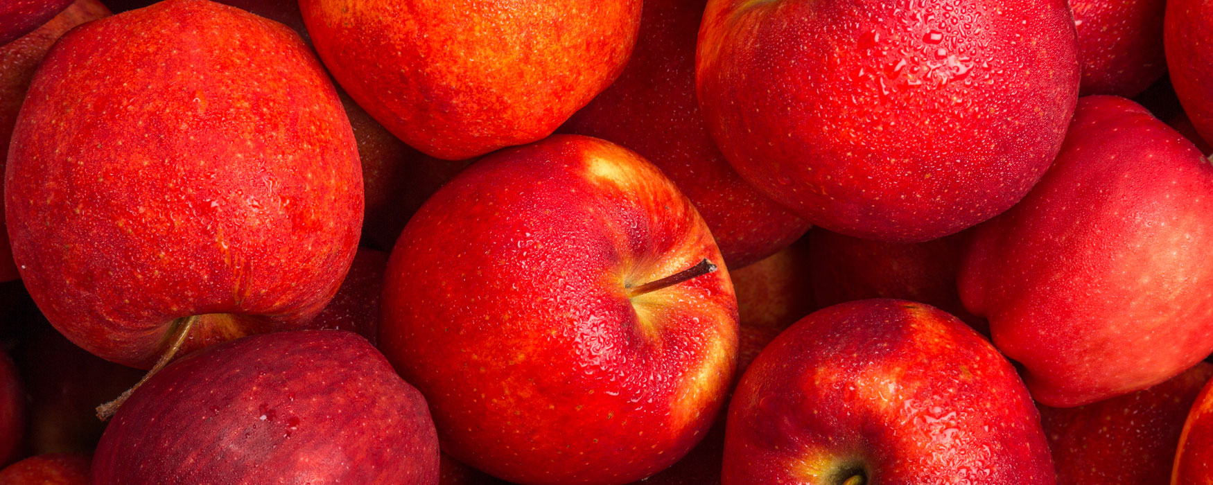 Apples for Teachers